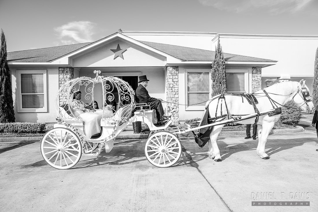 Horse Wedding Rental Houston